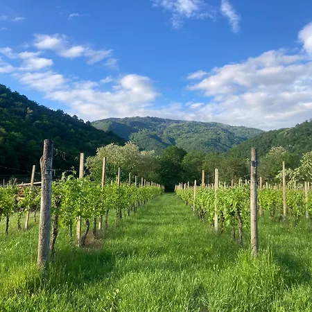 Casa Del Grivo - Luna * Canal di Grivo